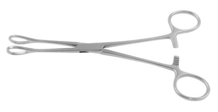 Sponge Forceps